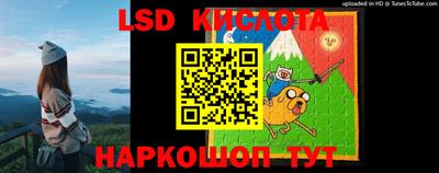 apvp Кудрово