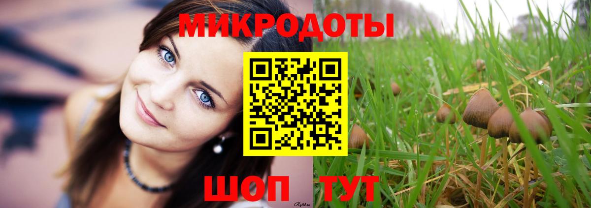 Псилоцибиновые грибы ЛСД Лабытнанги
